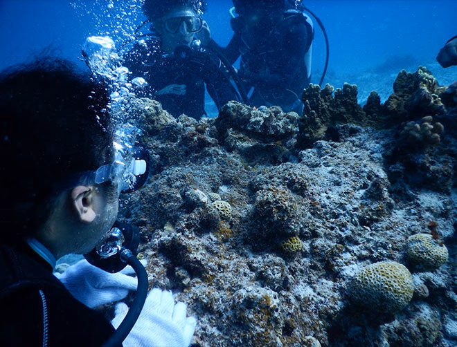 20151210_27.jpg