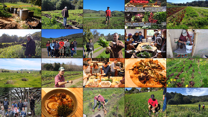 FOOD HUB PROJECT | A trip to learn about local food culture and social agriculture