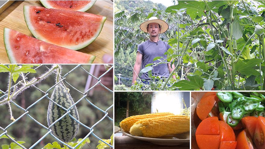 Start living in Kamiyama, enjoying seasonal flavors.