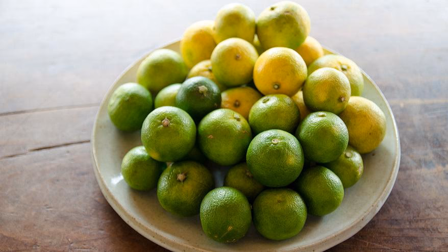 The highest yield in Japan!<br> Let's eat all the "Sudachi" in Kamiyama!