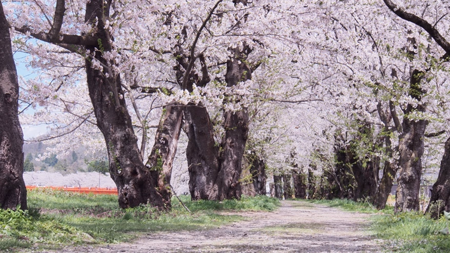 Spring is the season of meetings and partings.<br> <span>~ "Monosasu Cinema" with a spring theme ~<span></span>