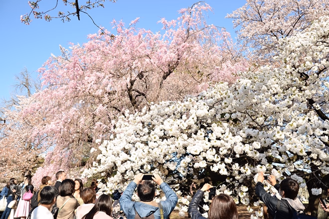 20180411_01.jpg