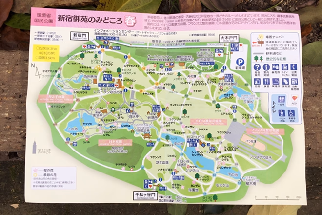 20180411_03.jpg