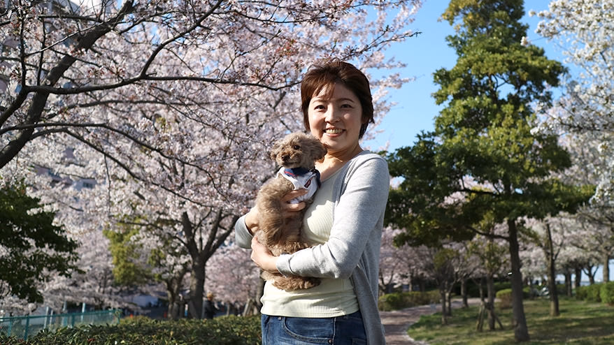My days with Kurumi, a toy poodle<br> <span>From meeting to training<span></span>