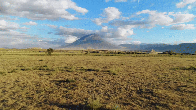20181214_06.gif