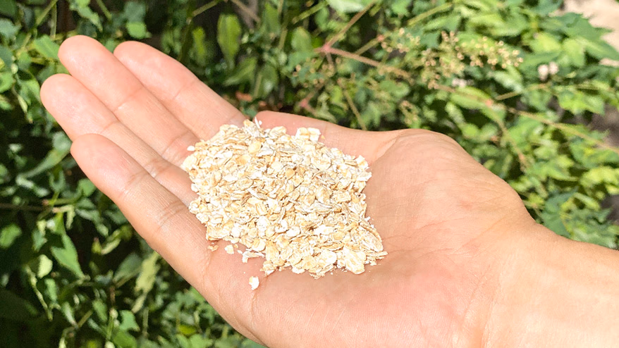 For those of you who are worried about gaining weight during the coronavirus pandemic<br> <span>~The story of the oatmeal diet that helps you lose 1kg per month~</span>