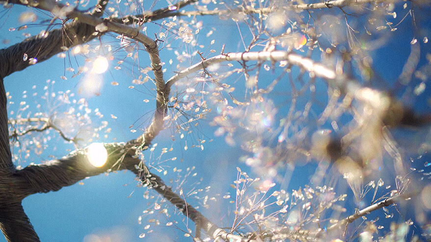 "Into the Light" is a video capturing the light overflowing in Hakone<br> Kanagawa Tourism Video Contest Winner