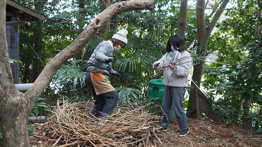 Let's make a Bio Nest