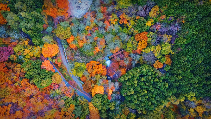 I want to try using it out loud<br> 6 drone photography techniques