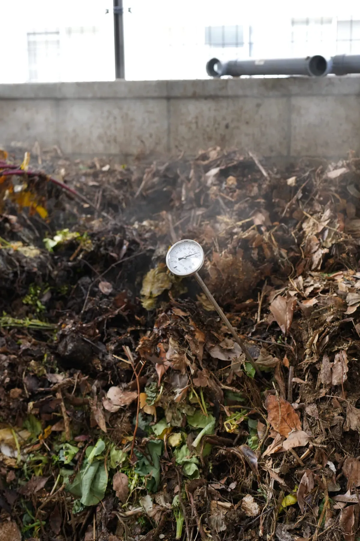 Photo of a thermometer stuck in a compost bin.