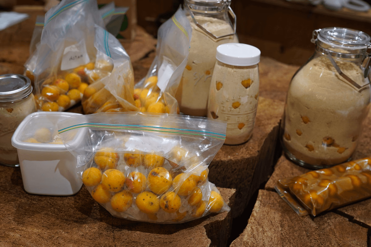 Plums in a jar or bag