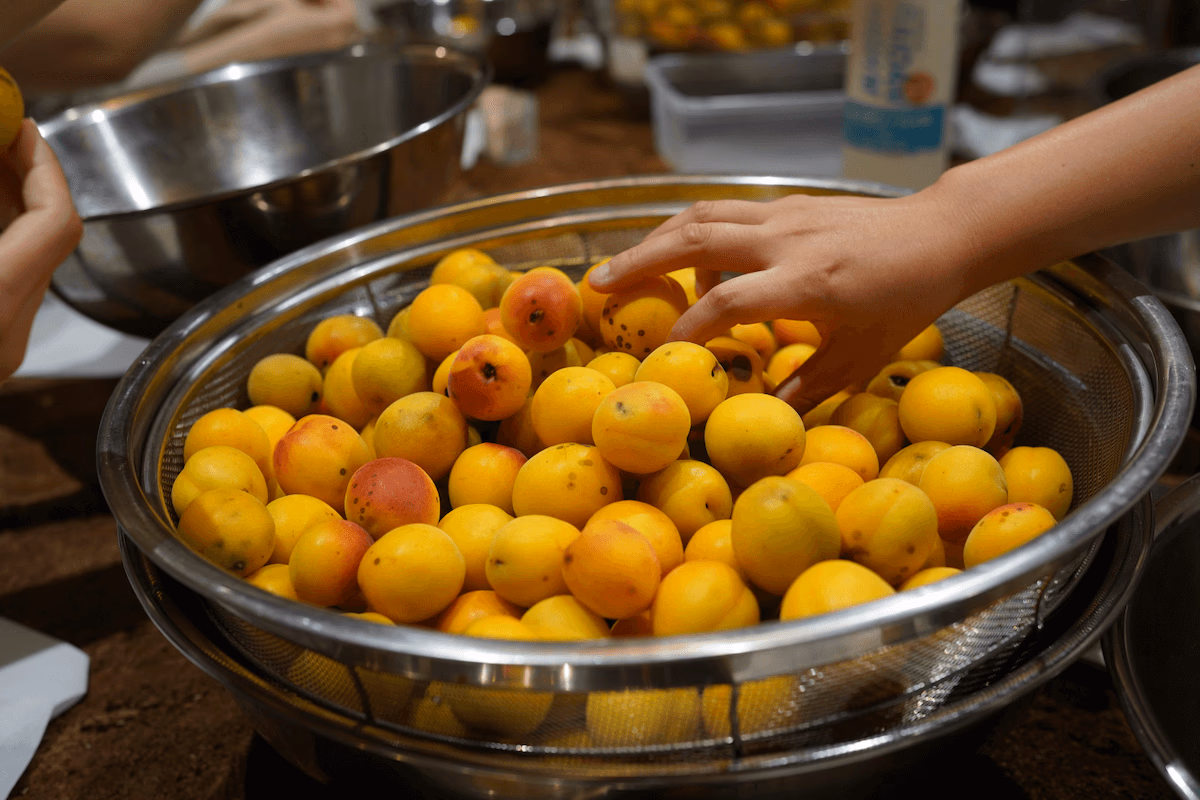 Yellow Plum