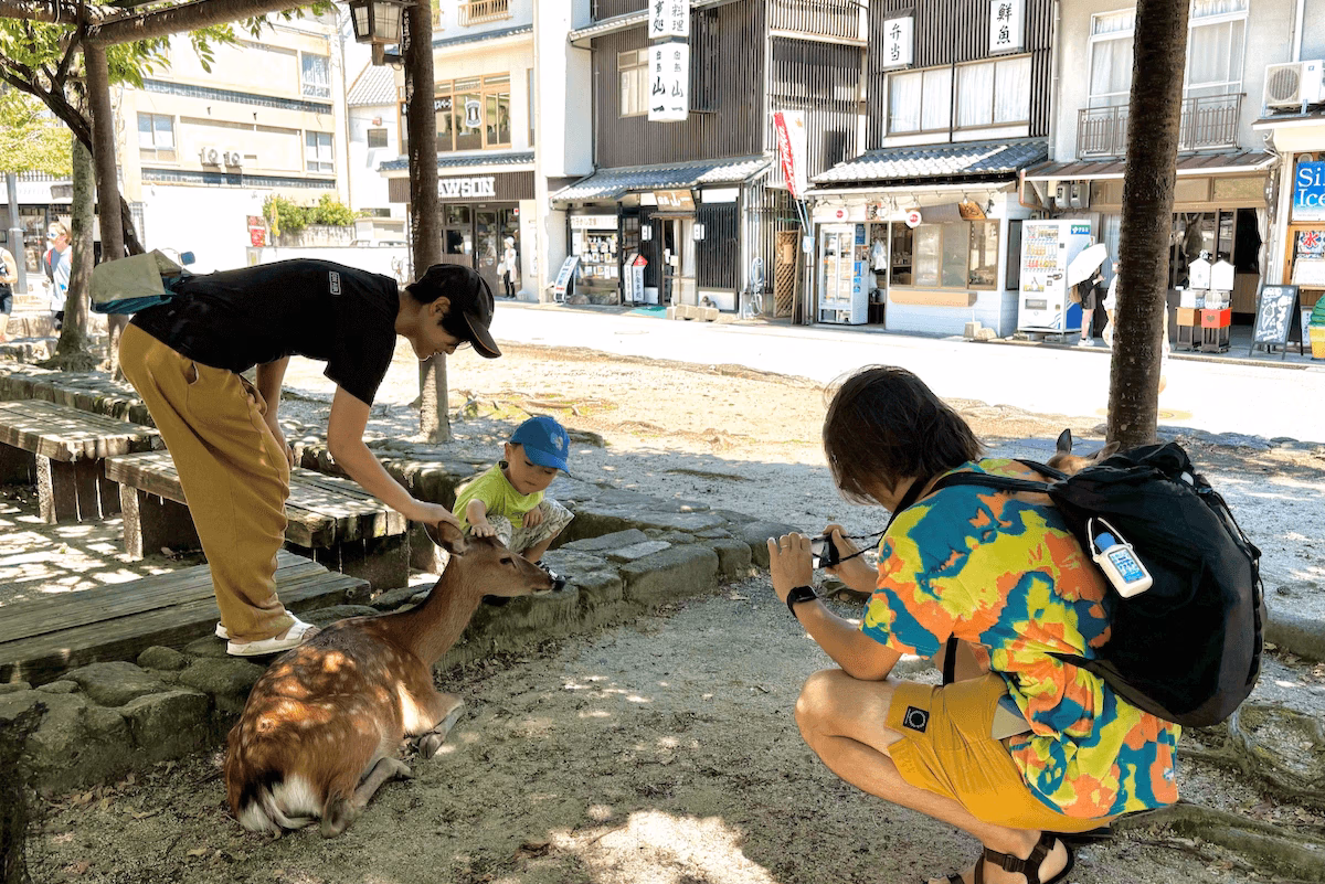 A place to interact with deer