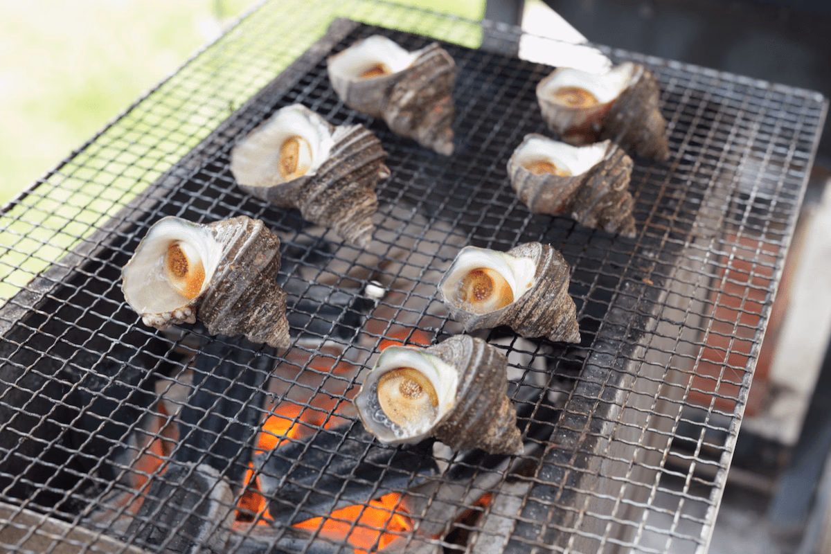 A luxurious barbecue with freshly caught turban shells and abalone on the island.