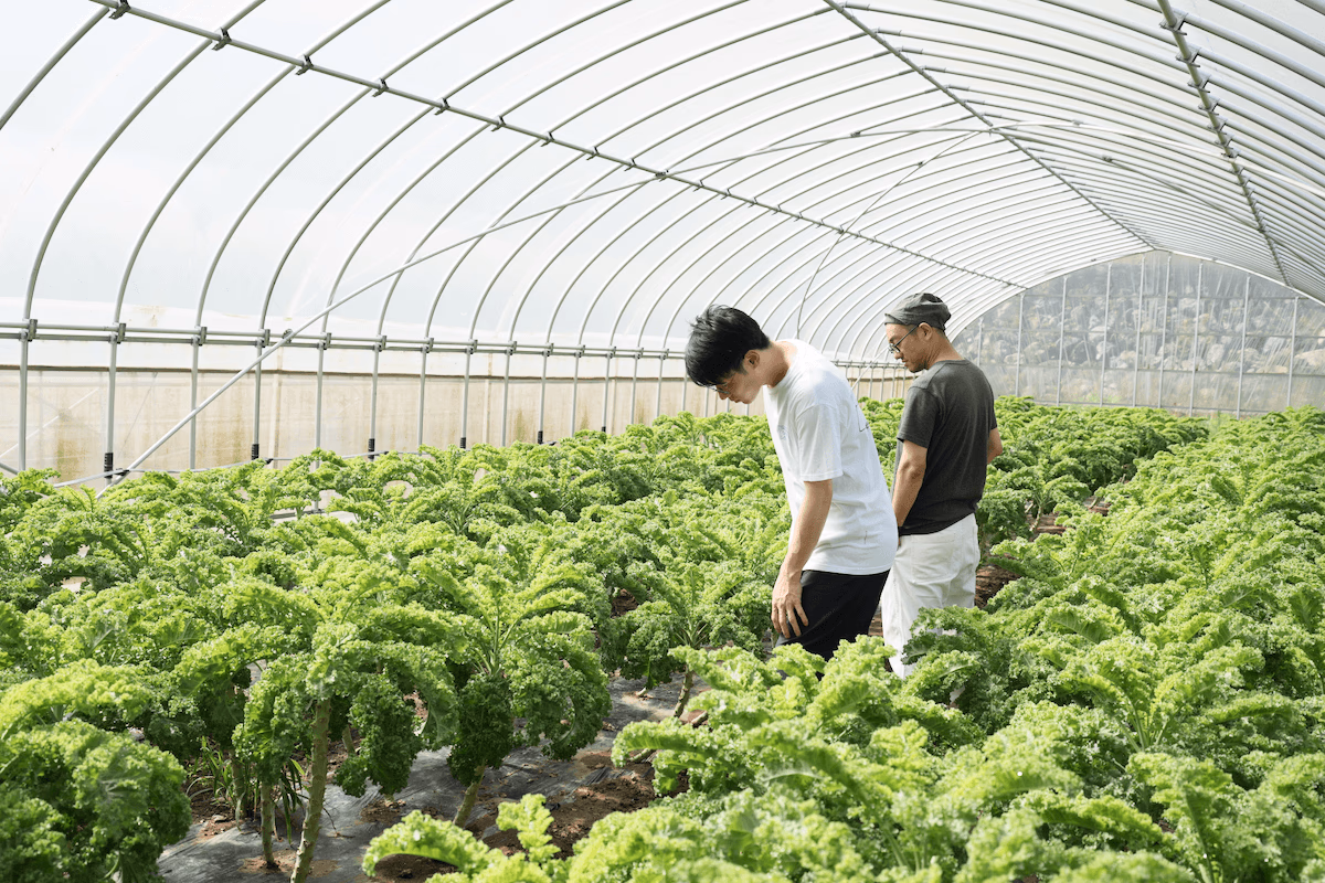 Visiting the fields to check on their condition