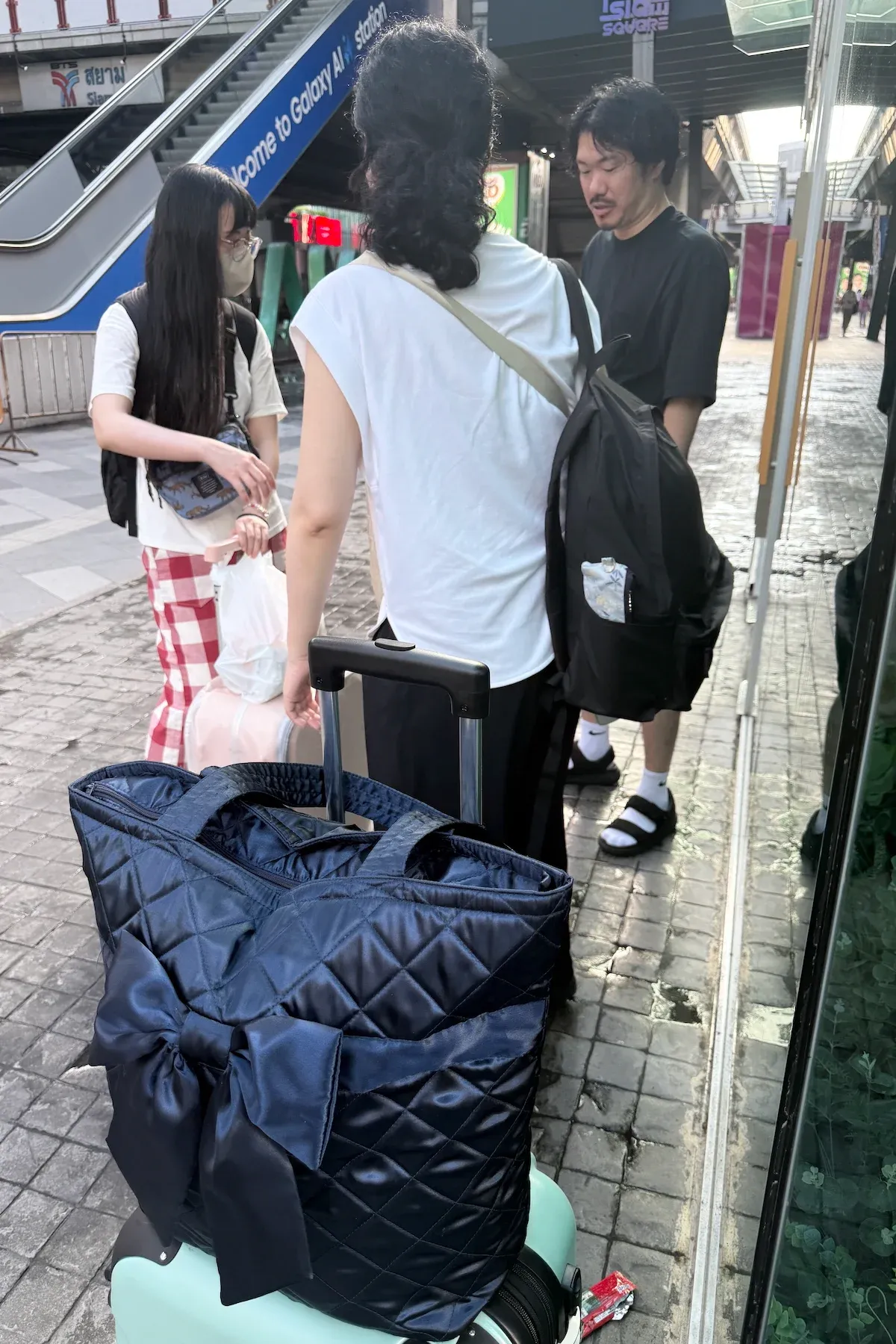 集合している様子